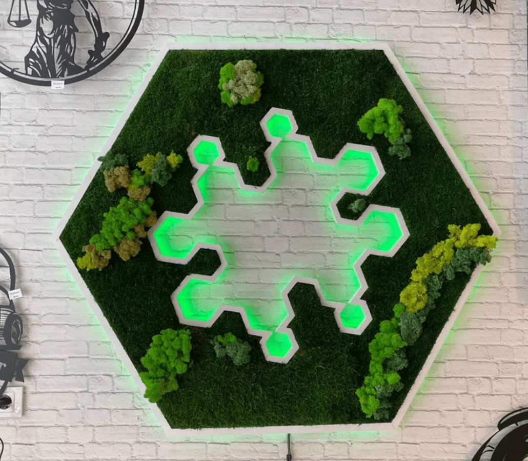 Custom Moss Wall Art, Dental Clinic, Real Moss Custom Logo Sign, Custom Moss LED Light Logo, Office Moss Decor, Maintenance Free Moss, Pupax Signs - Pupax Signs