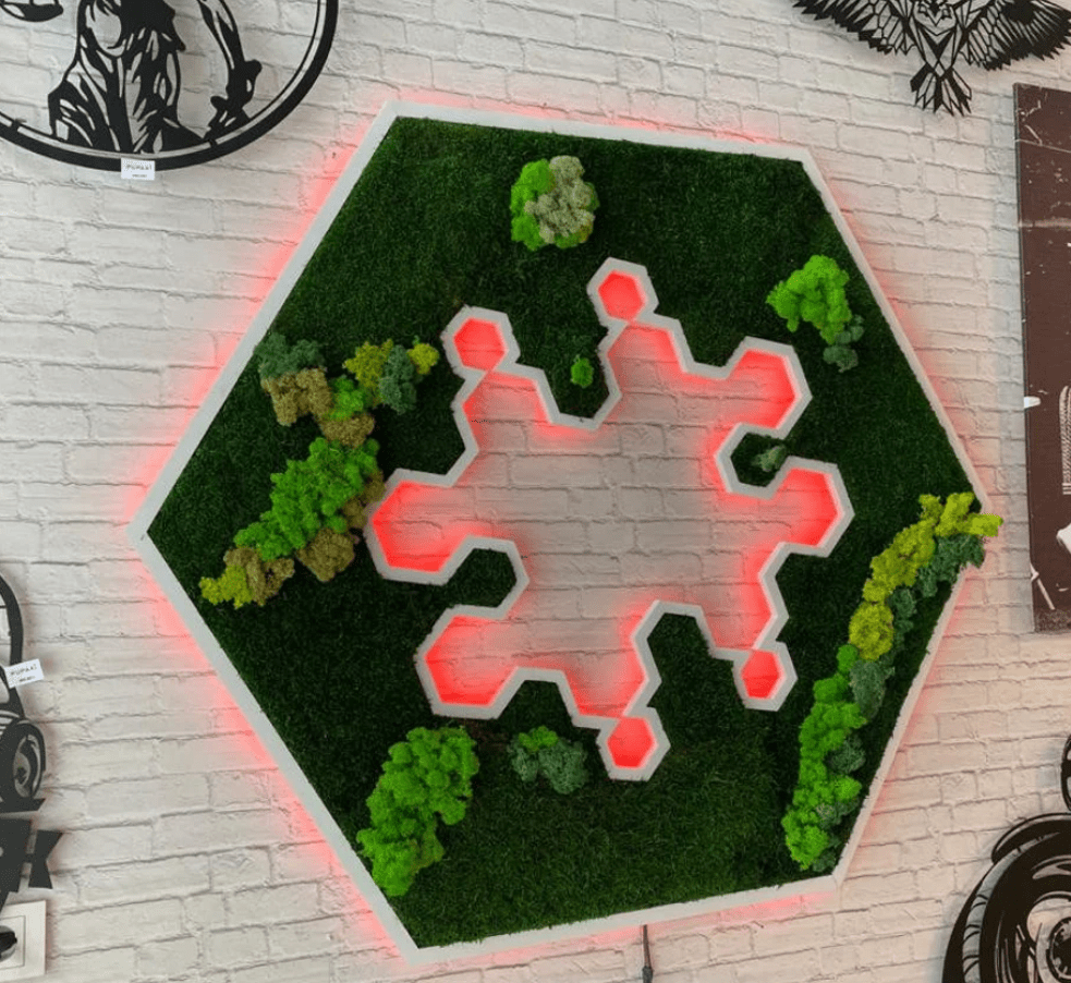 Custom Moss Wall Art, Dental Clinic, Real Moss Custom Logo Sign, Custom Moss LED Light Logo, Office Moss Decor, Maintenance Free Moss, Pupax Signs - Pupax Signs