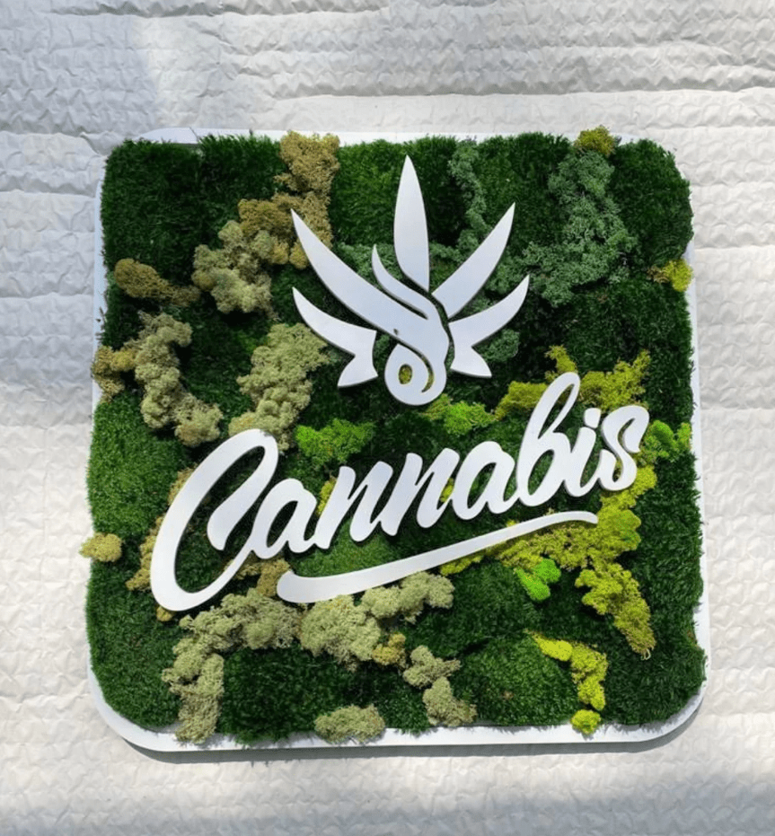 Custom Moss Wall Art, Dental Clinic, Real Moss Custom Logo Sign, Custom Moss LED Light Logo, Office Moss Decor, Maintenance Free Moss, Pupax Signs - Pupax Signs