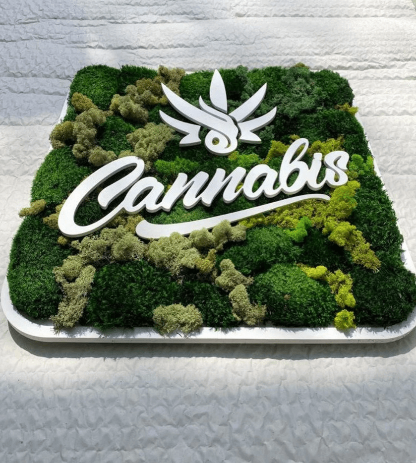 Custom Moss Wall Art, Dental Clinic, Real Moss Custom Logo Sign, Custom Moss LED Light Logo, Office Moss Decor, Maintenance Free Moss, Pupax Signs - Pupax Signs