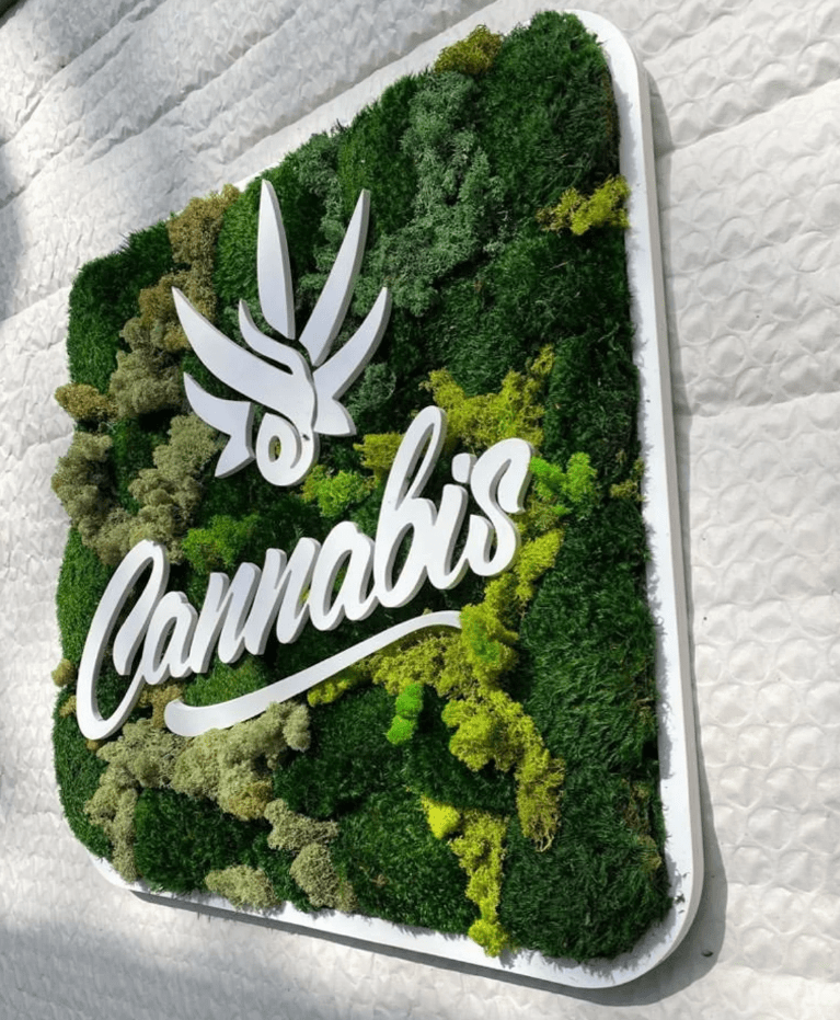 Custom Moss Wall Art, Dental Clinic, Real Moss Custom Logo Sign, Custom Moss LED Light Logo, Office Moss Decor, Maintenance Free Moss, Pupax Signs - Pupax Signs